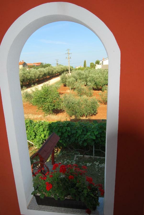 Apartma Jelka Novigrad Istria Exteriér fotografie