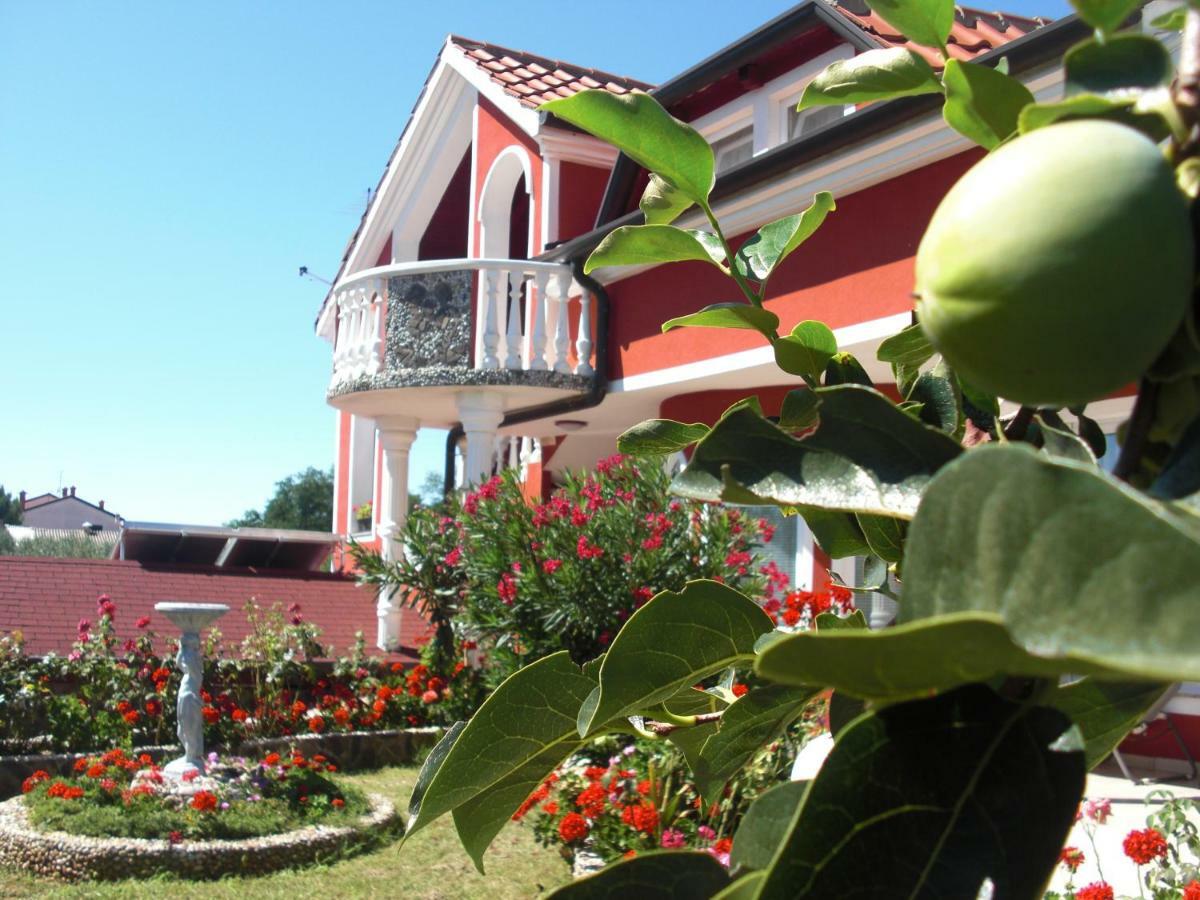 Apartma Jelka Novigrad Istria Exteriér fotografie