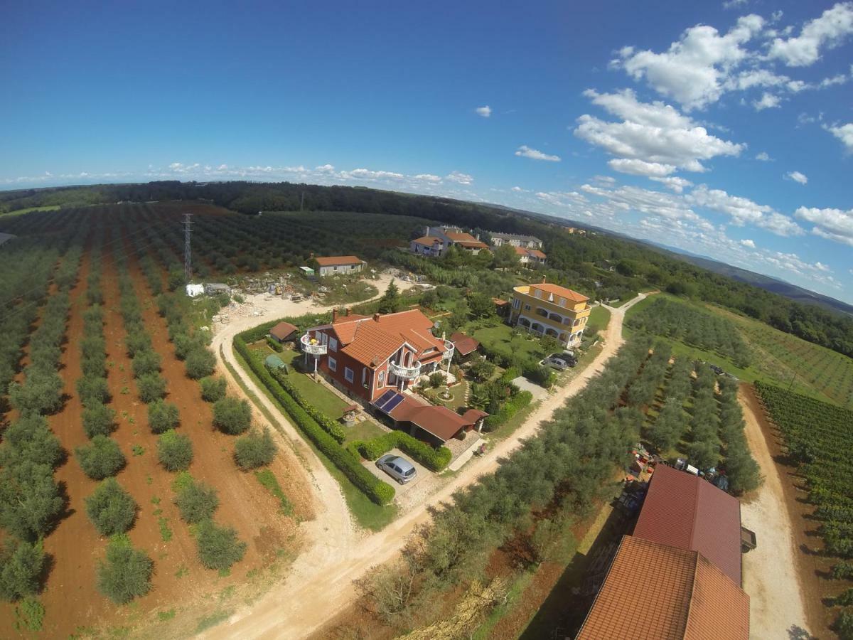 Apartma Jelka Novigrad Istria Exteriér fotografie