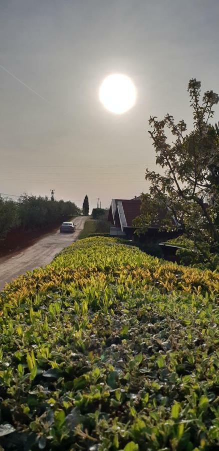 Apartma Jelka Novigrad Istria Exteriér fotografie